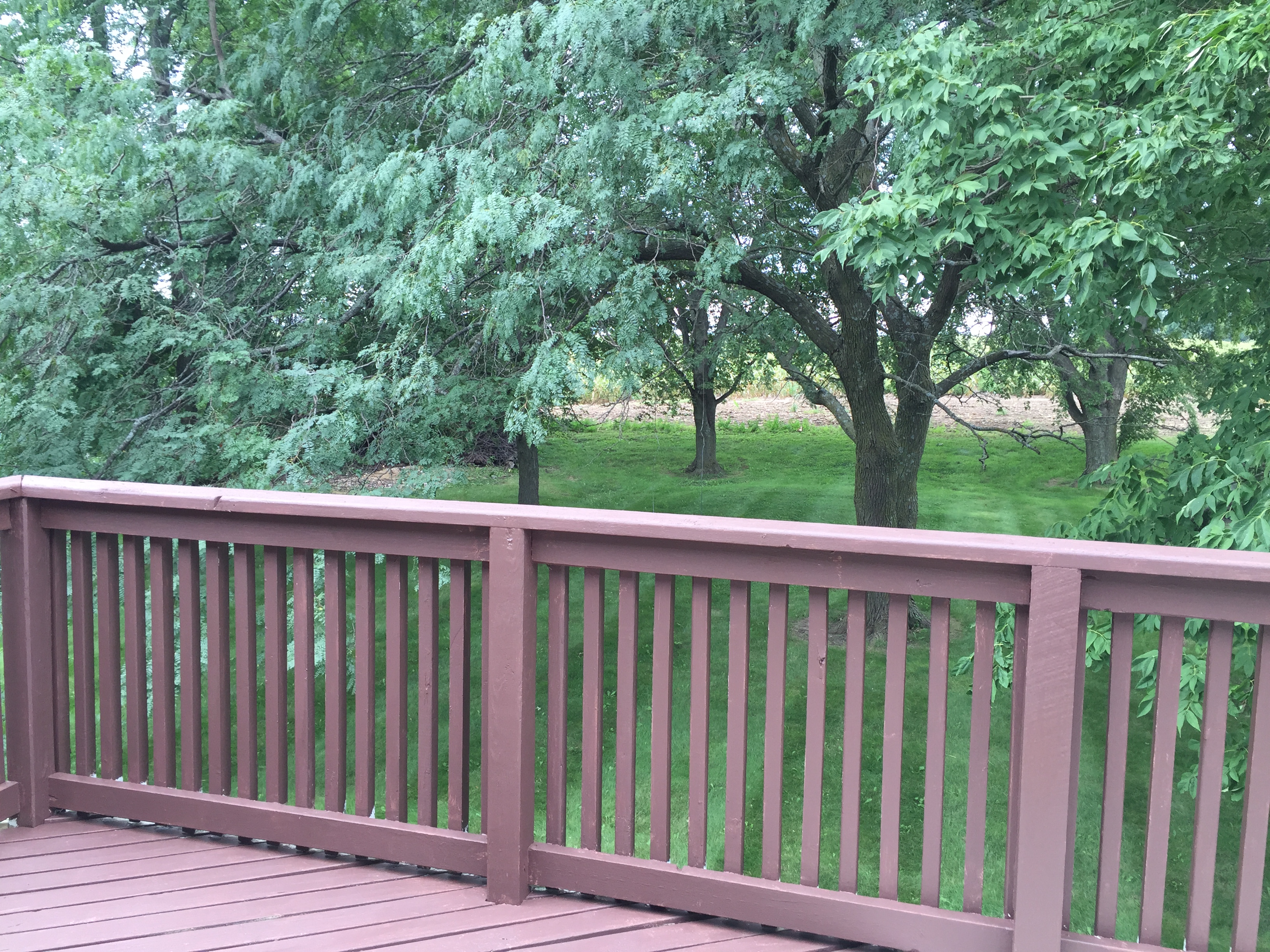 Conrad House Real Estate 105 Duesenberg SulenticFischels